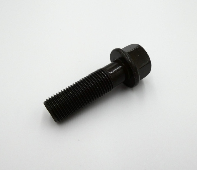 ŚRUBA M20x65