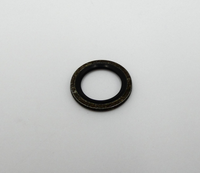 O-RING