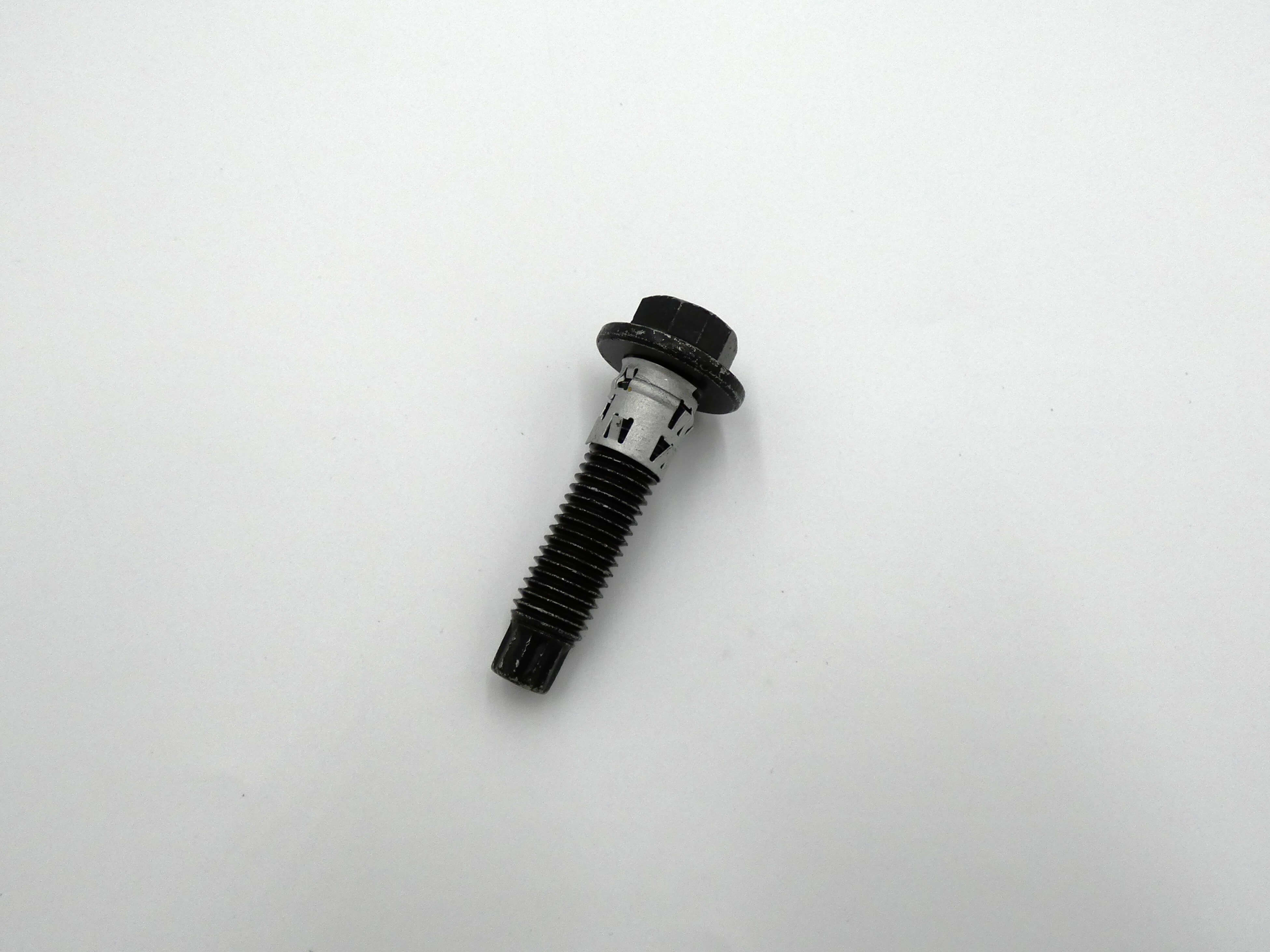 FLANGE SCREW