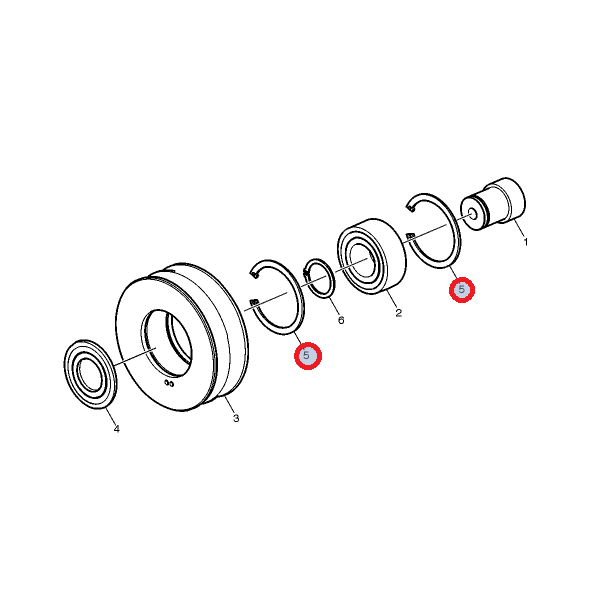 Pierścień ustalający