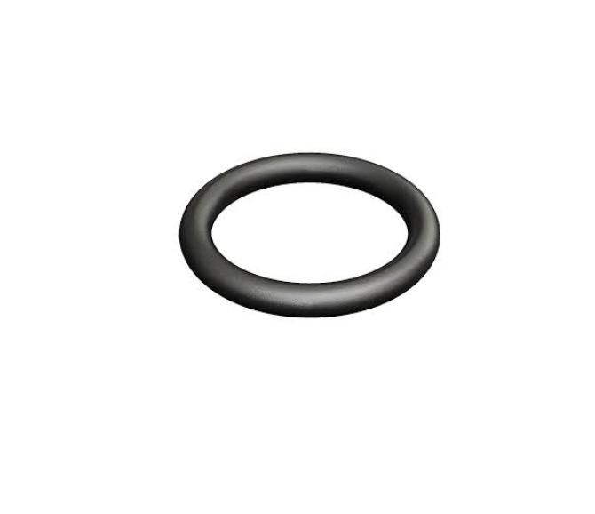 O-ring
