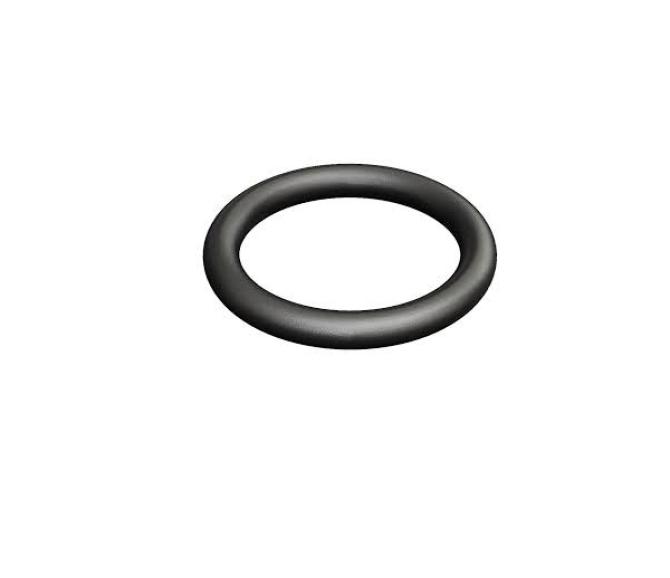 O-ring