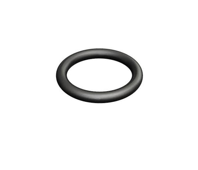 O-ring