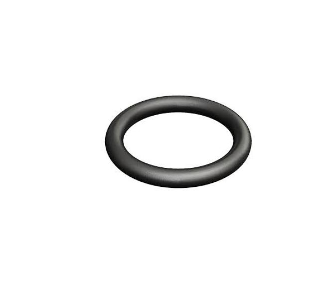 O-ring