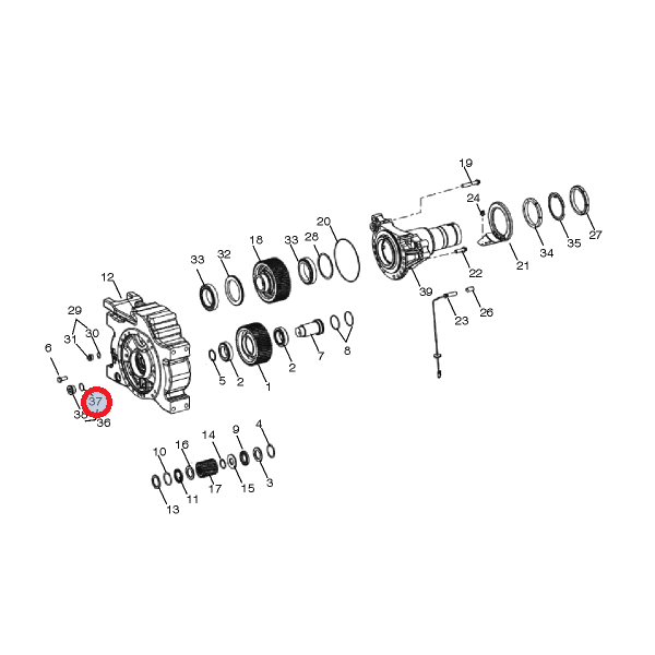 O-ring