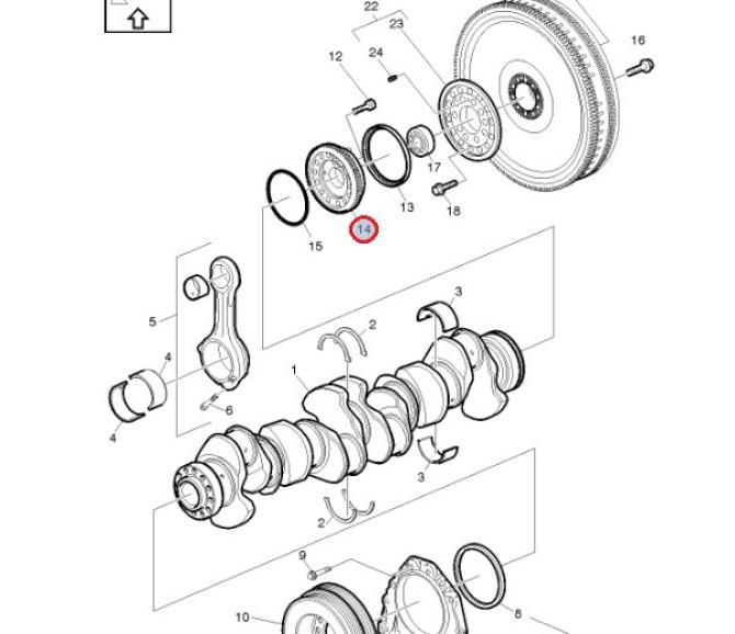 Koło zębate wału korbowego 24301646
